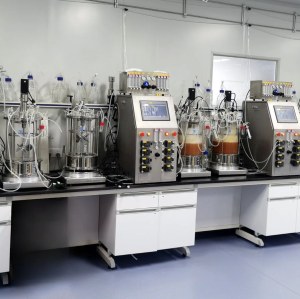 BAILUN Benchtop Dual-Tank Bioreactor System for Parallel Cell Culture Fermentation 0.25L-10L