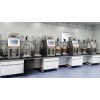 BAILUN Benchtop Dual-Tank Bioreactor System for Parallel Cell Culture Fermentation 0.25L-10L