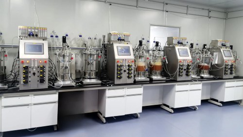 BAILUN Benchtop Dual-Tank Bioreactor System for Parallel Cell Culture Fermentation 0.25L-10L