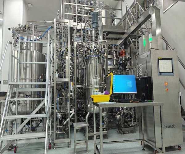 Which Designs Reduce Bioreactor Cell Culture Shear Stress? Impeller, Flow, Gentle