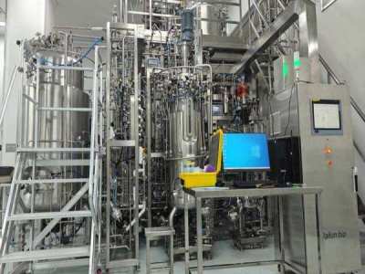 Which Designs Reduce Bioreactor Cell Culture Shear Stress? Impeller, Flow, Gentle