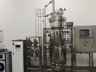 What Factors Control Microbial Fermentation Growth Rates? Temperature, pH, Nutrient