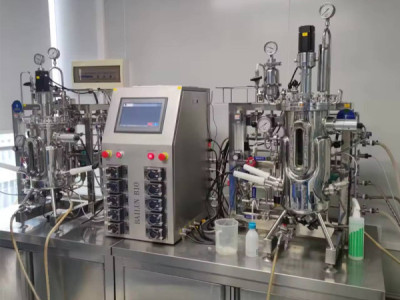 Can Stainless Conical Fermenters Handle Pressurized Fermentation Safely? Seal, Rating, Relief