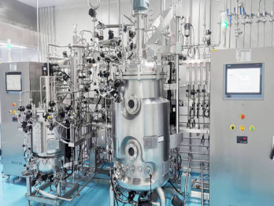 How Microbial Fermentation Commercial Bioreactors Handle Cell Density? Oxygen, Cooling, Agitation