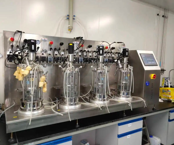 Why Do Labs Invest In Parallel Bioreactor Systems For R&D? Speed, Data, Efficiency