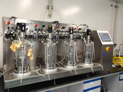 Why Do Labs Invest In Parallel Bioreactor Systems For R&D? Speed, Data, Efficiency