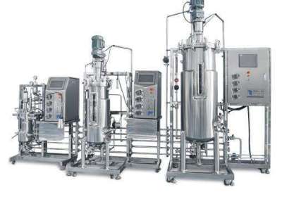 How Do Bioreactor Stirred Tank Prevent Dead Zones? Baffle, Flow, Circulation