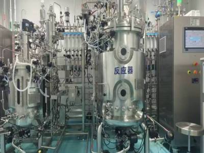 Can Bioreactors For Mammalian Cell Culture Monitor Metabolite Levels? Sensor, Sampling, Data