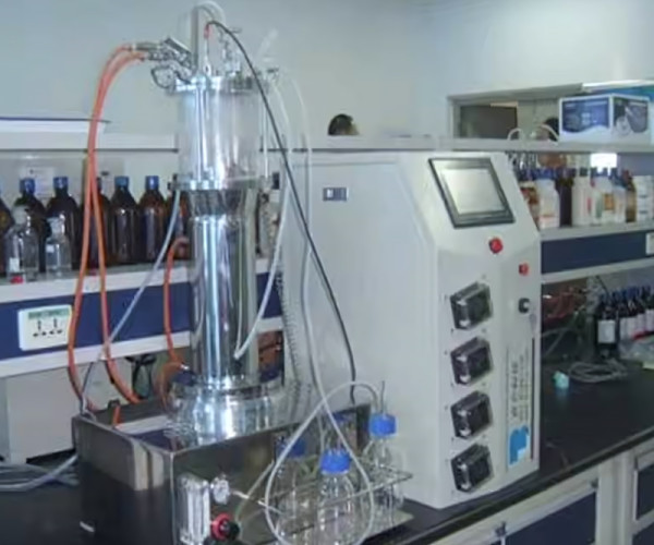 Can a Stirred Tank Fermenter Run Perfusion Culture? Cells, Yield, Stability?