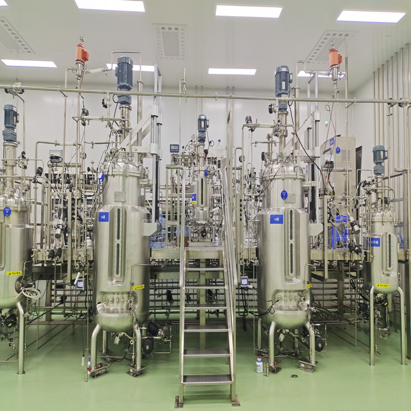 stirred bioreactor