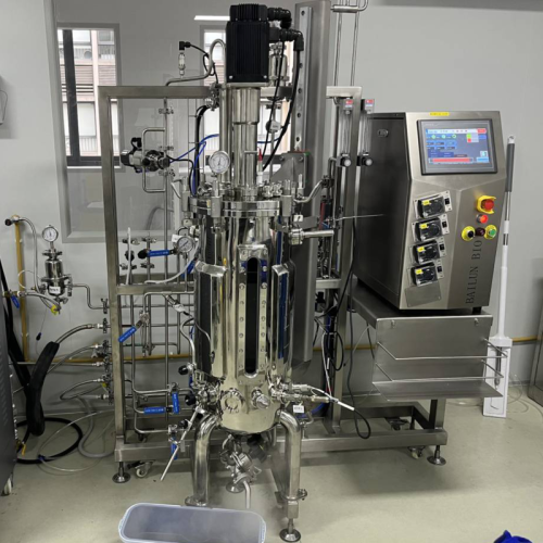 BLBIO Hot Sale Stainless Steel Bioreactor from China