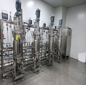 BLBIO Hot Sale Stainless Steel Bioreactor from China