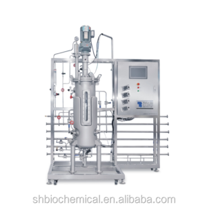 BLBIO Stainless Steel Fermentation Equipment