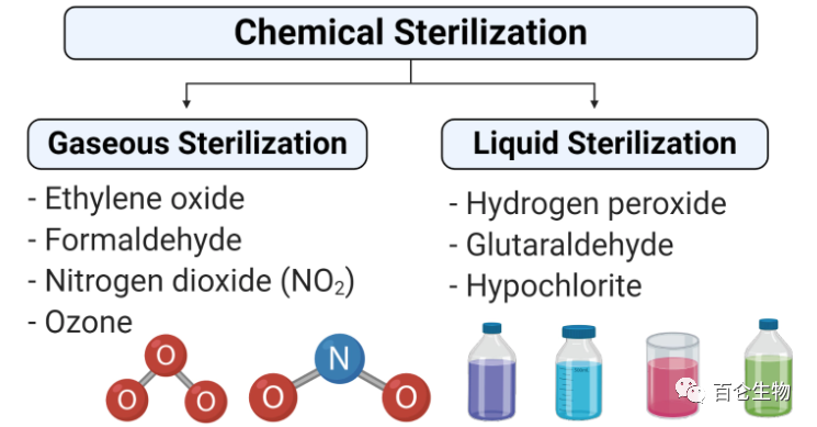 steel bioreactor