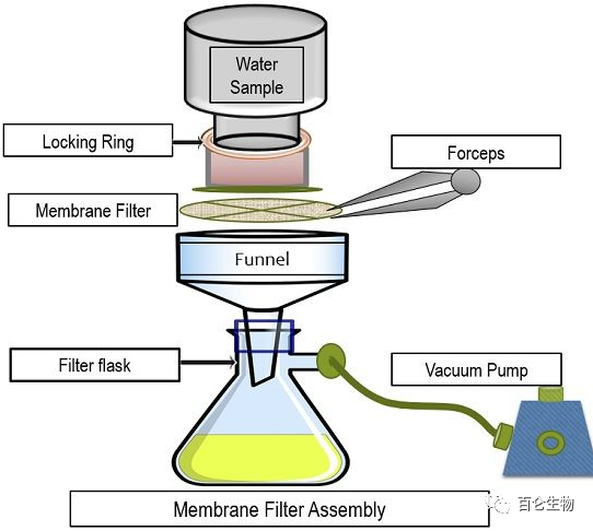 1000l bioreactor price