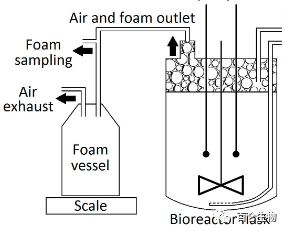 parallel bioreactor