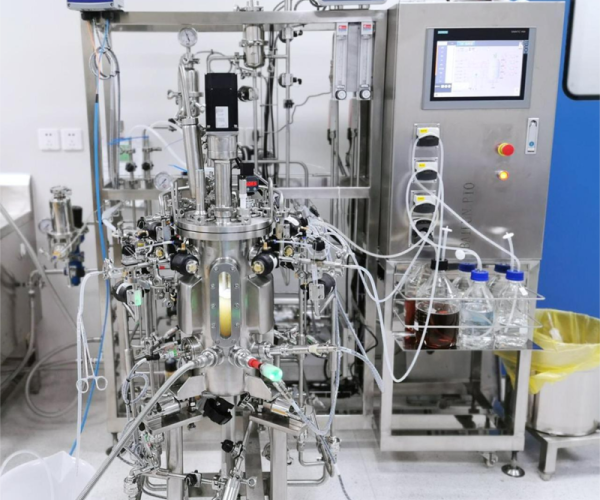 Is an Automatic Fermenter Worth It for Probiotics? strain, viable and count