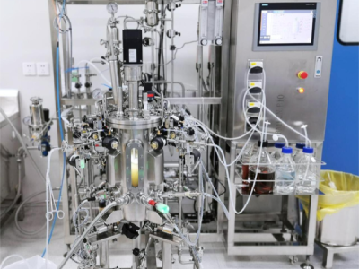 Is an Automatic Fermenter Worth It for Probiotics? strain, viable and count
