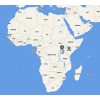 Local Service - Customs Clearance