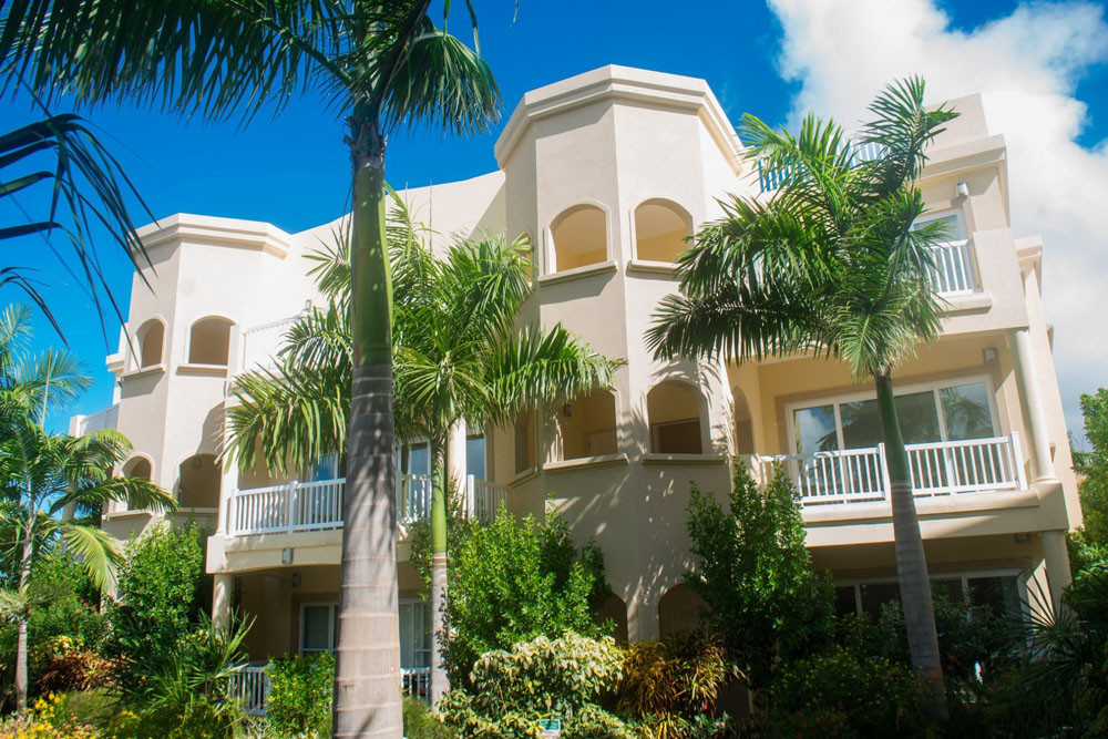 aluminum windows and doors