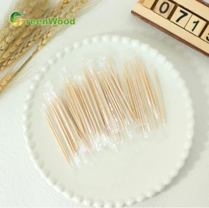 Disposable Wooden Toothpicks with Plastic Bag |  Toothpicks & Cocktail Skewers Wholesale