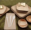 What Are the Precautions for Using Disposable Wooden Plates?
