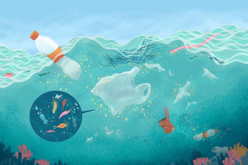 what happens if you eat plastic？-- The Hazards of Eating Plastic: A Comprehensive Perspective