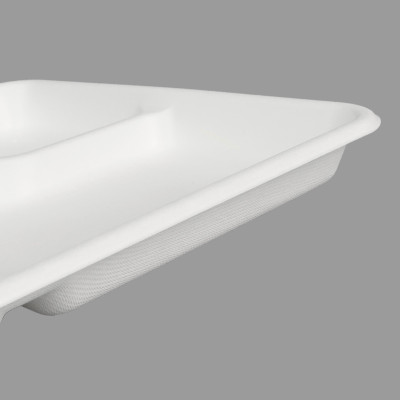 Disposable Compostable Bagasse Square Plates| FIVE-COMPARTMENT LUNCH BOX