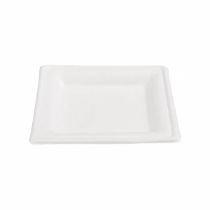Eco-Friendly Disposable Biodegradable Sugarcane Bagasse Square Plate