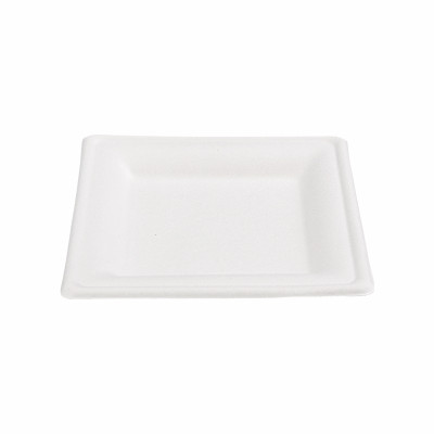Eco-Friendly Disposable Biodegradable Sugarcane Bagasse Square Plate