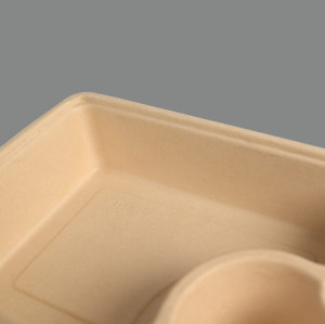 Wholesale Disposable Bagasse Lunch Box