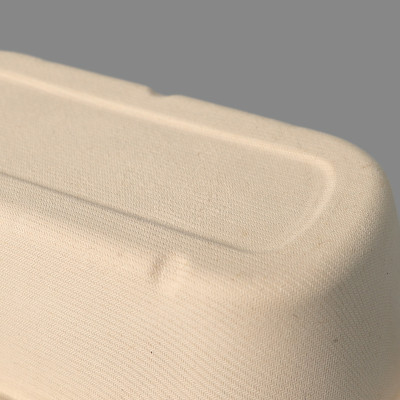 Disposable Bagasse Compostable Lunch Box