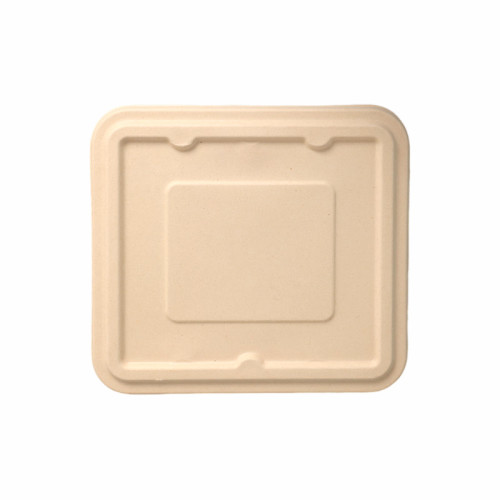 Bagasse Compostable Lunch Box with 3 Compartments