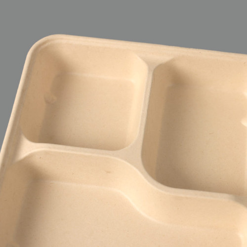 Bagasse Compostable Lunch Box with 3 Compartments