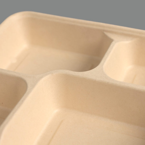 Bagasse Compostable Lunch Box with 4 Compartments