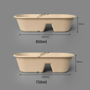 Bagasse Compostable Lunch Box with 2 Compartments