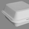 Compostable Bagasse Rectangle Meal Container