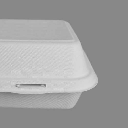 Compostable Bagasse Rectangle Meal Container