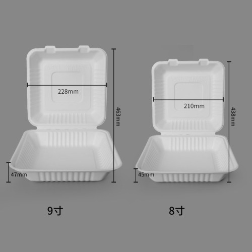 Boîte à emporter en bagasse