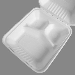 Bagasse Takeaway Clamshell Box with 3 Compartments