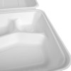 Bagasse Takeaway Clamshell Box with 3 Compartments