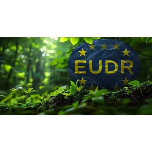 Exportation de vaisselle jetable en bois vers l'UE : principes fondamentaux des directives DDS en matière d'enquête et de collaboration pour les importateurs