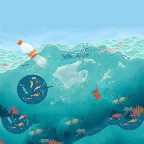 what happens if you eat plastic？-- The Hazards of Eating Plastic: A Comprehensive Perspective