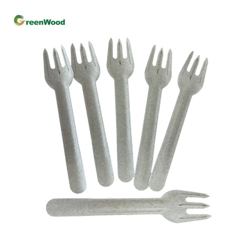 Manufacturer of professional disposable biodegradable paper tableware, customized size, environmentally friendly party camping
