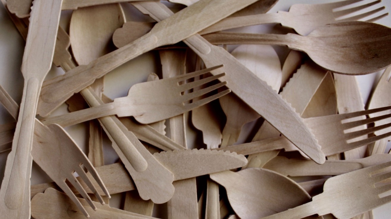 disposable wooden tableware