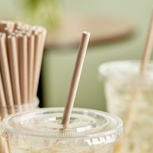 Wooden Straws vs. Plastic Straws: Should You Switch to Wooden Straws?