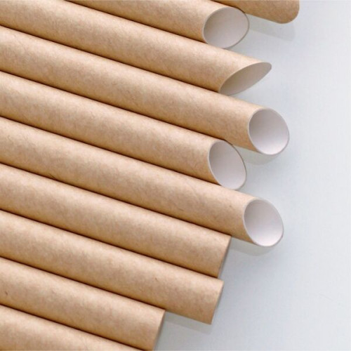 Que sont les pailles biodégradables et pourquoi sont-elles utilisées ?