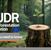 Greenwood Wooden Cutlery:  EUDR Compliance with Outstanding Product Advantages