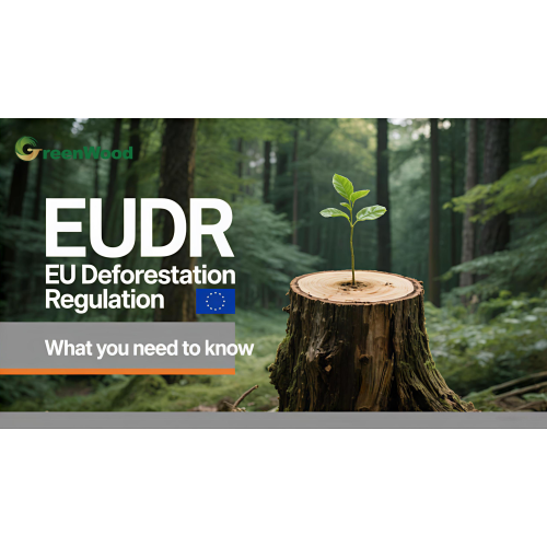 Couverts en bois Greenwood : conformité EUDR avec des avantages produits exceptionnels