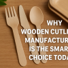Sustainable Innovations in Disposable Wooden Knives and Spoons for 2026 Food Services